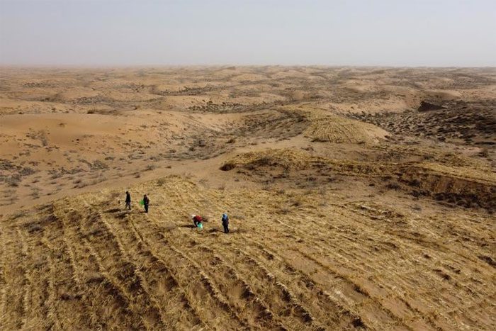 A man and his family have dedicated over two decades to desert reclamation.