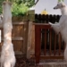 cho giong Borzoi 640