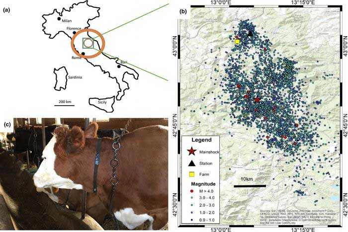 The relationship between livestock responses and earthquakes in northern Italy.