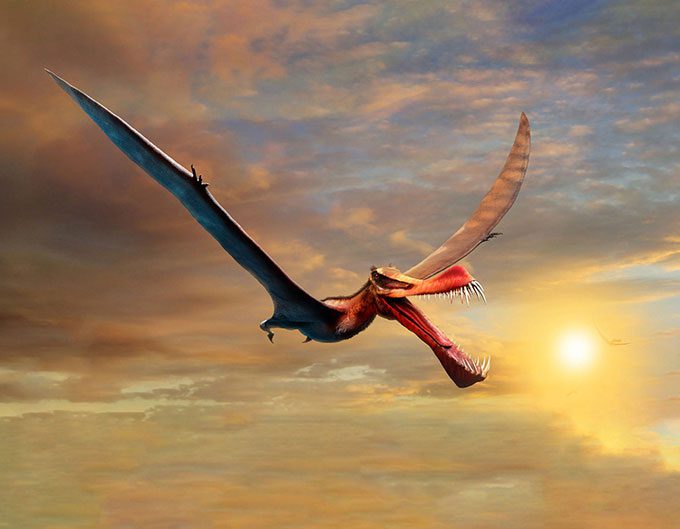 Reconstruction of the pterosaur Thapunngaka shawi.