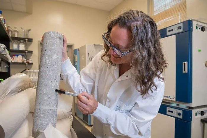 Bacteria may have moved from the environment, seeping through cracks in the concrete.