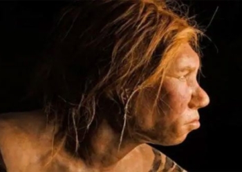 nguoi denisovan 650