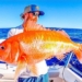 rubyfish 650