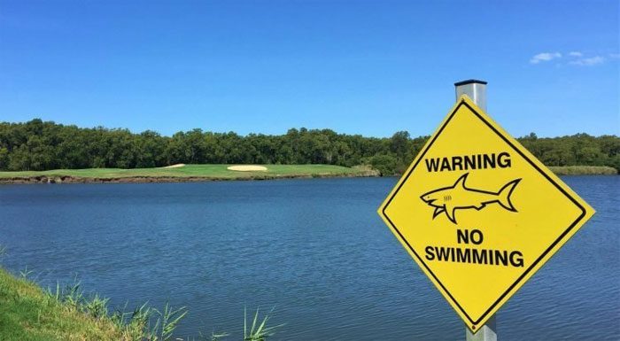 Warning: Do not swim in areas with bull sharks.