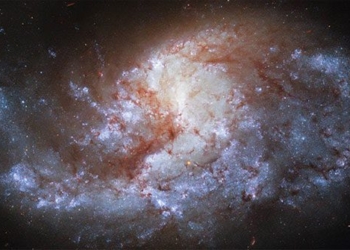 thien ha ngc 1385 650