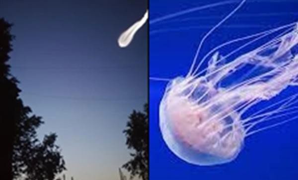 Some also said this object resembles a jellyfish.