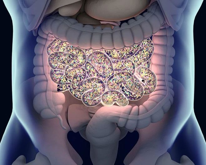 Bile acids are compounds in bile that aid digestion, especially of fats.