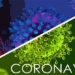 virus sars va corona 650