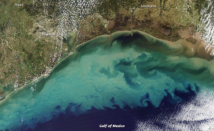A photo of the algae bloom in the Gulf of Mexico, a sign of the "dead zone"