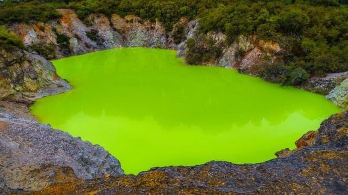 A vibrant green pond filled with foul-smelling, sulfur-scented water.