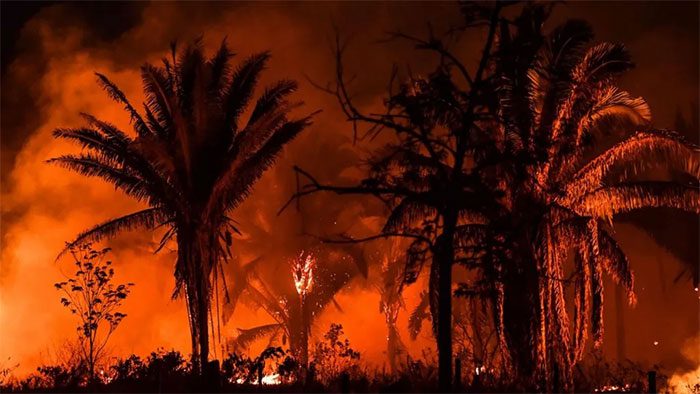Smoke rising from a forest fire in the Amazon in Itaituba, Pará, Brazil.