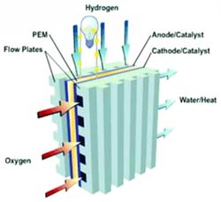 Hydrogen fuel cell