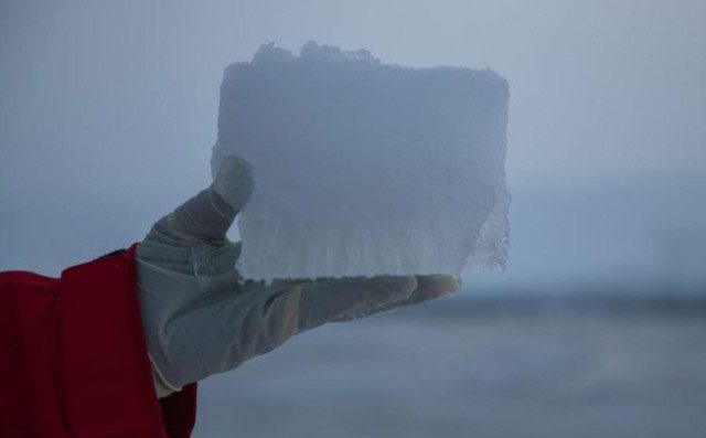 Scientists collected over 1,000 ice samples in the Arctic.