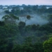 14 secrets in the amazon rainforest that will leave you speechless 61382