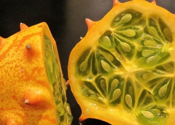 15 types of fruits in vietnam make it to the list of 25 strangest fruits in the world 70393