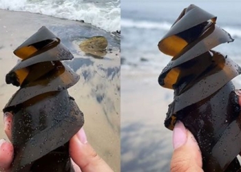 46 million people shocked when they know what this is outside the beach 137852