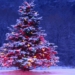 5 amazing secrets about christmas trees 57706