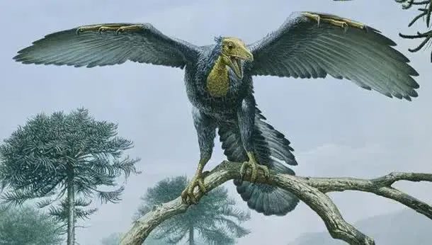 Archaeopteryx