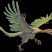 Archaeopteryx270