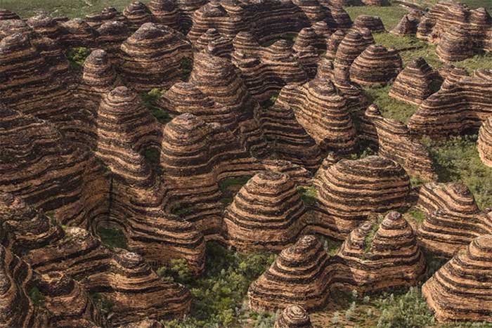 Thousands of giant orange and black striped domes create an impressive landscape.