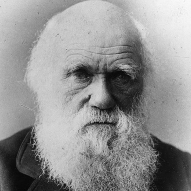 Charles Darwin loved observing the lives of various creatures.