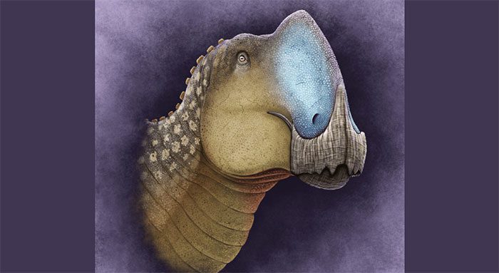 Portrait of the new creature in Mexico, named Coahuilasaurus lipani