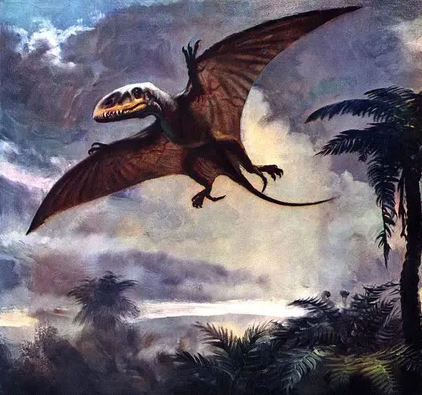 Dimorphodon