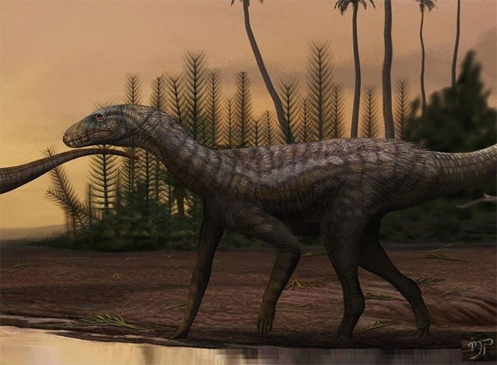 The strange creature Gondwanax paraisensis recently excavated in Brazil