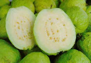 Green guava contains a high tannin content, making it effective for treating diarrhea