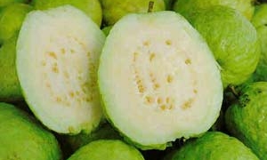 Guava quaoi