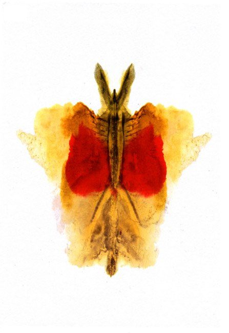 Hermann Rorschach Psychological Test