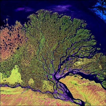 Landsat art lena 1