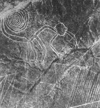 Nasca hinhsutucuonduoi