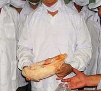 NguyenTanDung cumga