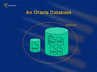 OracleData 1