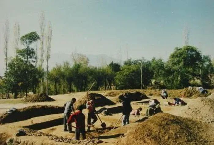 A joint archaeological team was quickly formed and sent to the site for excavation.