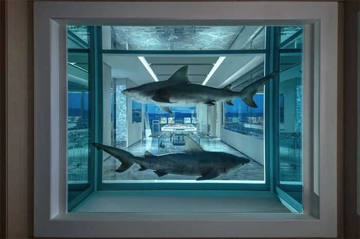 An aquarium with two live sharks, an artwork with many implications.