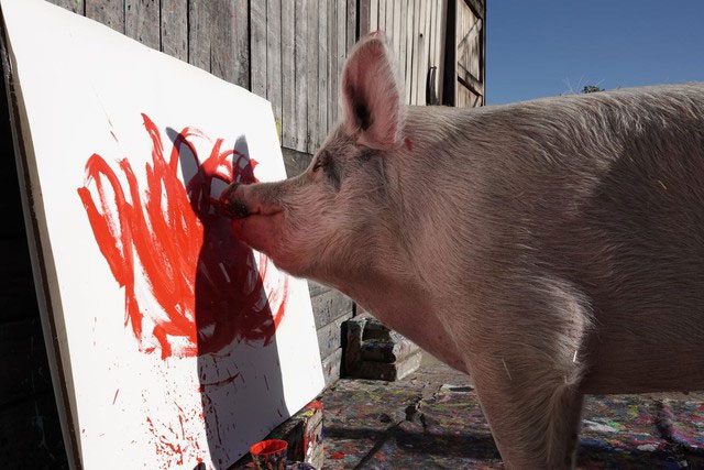 Pigcasso painting