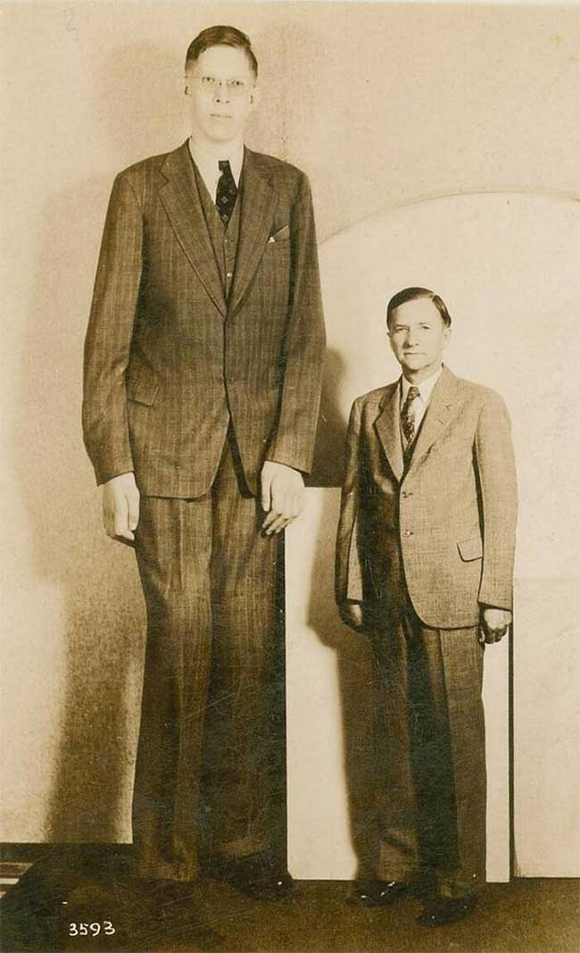 Robert Wadlow 2