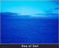 Sea of Salt