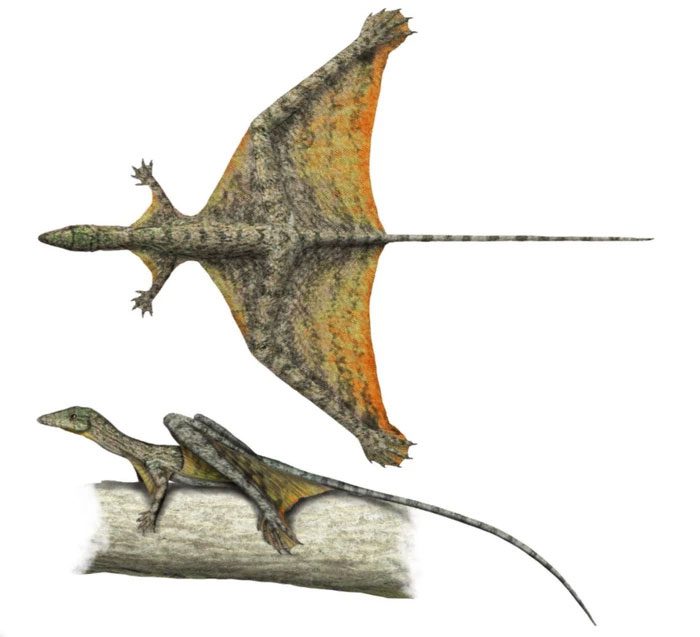 Sharovipteryx