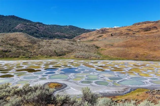 Puddles of various colors from green to yellow and brown.