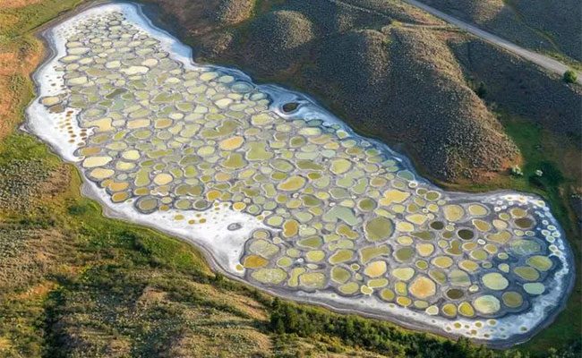 Aerial view of Spotted Lake.