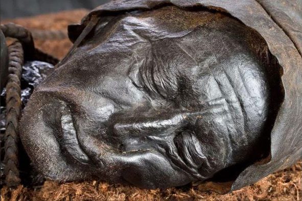 The body of Tollund Man has been well preserved in the peat.