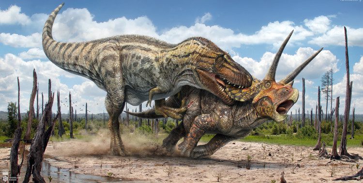 Tyrannosaurus rex attacking prey.