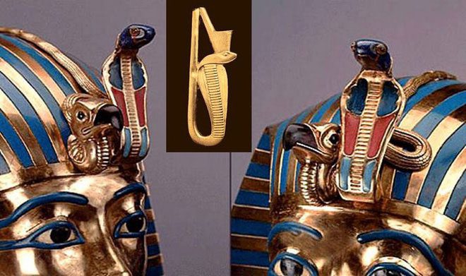 Uraeus is an upright cobra, attached to the crowns of Pharaohs.