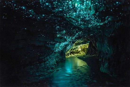 The enchanting glowworm cave