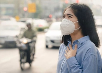 air pollution harms the heart how 138174 2