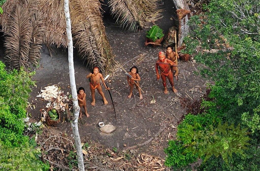 Many unknown tribes live scattered throughout the forest.