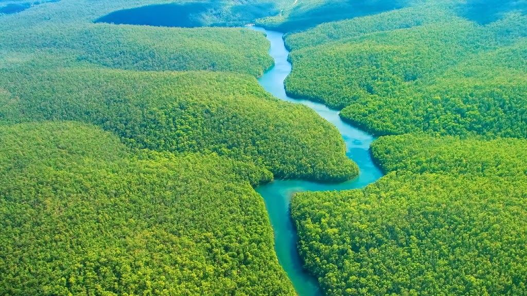 The Amazon has a vast area, equivalent to Australia.